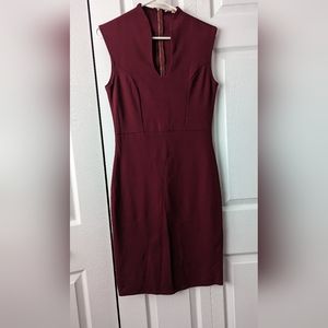 Rolla coaster stretchy burgundy dress